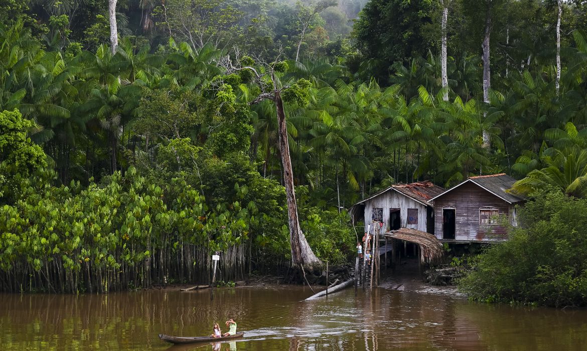 Casas em área de ocupação irregular, sem infraestrutura de saneamento