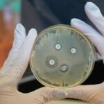 Resistência Antimicrobiana: a "Pandemia Silenciosa" que Ameaça o Tratamento de Doenças Negligenciadas no Brasil