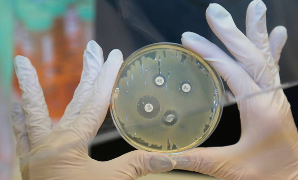 Resistência Antimicrobiana: a “Pandemia Silenciosa” que Ameaça o Tratamento de Doenças Negligenciadas no Brasil