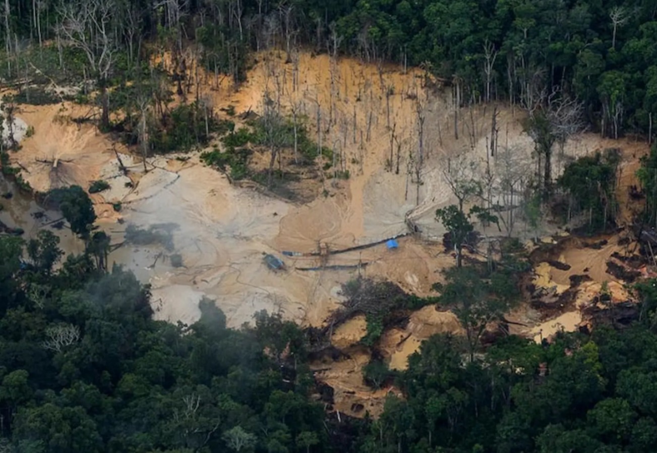 Malária: fora da Amazônia, a letalidade é 51 vezes maior