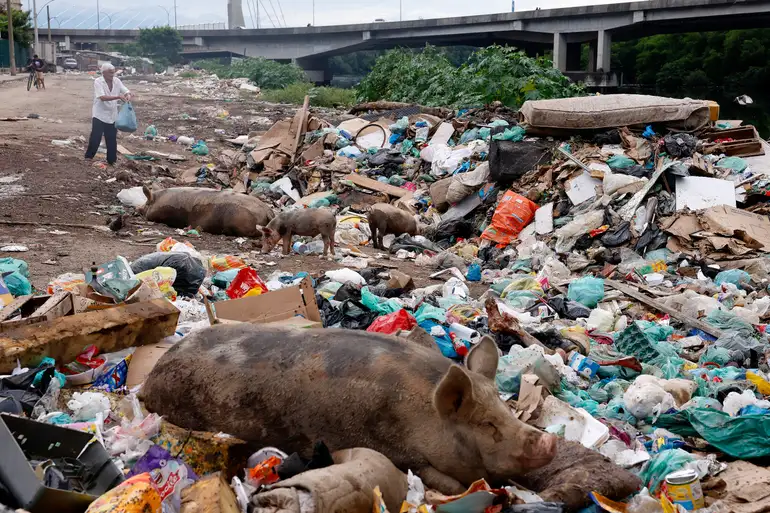 Geo-helmintíases: o Brasil promete eliminar até 2030 uma doença que não sabe medir