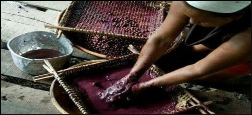 Descreva a cena: casa de pau a pique ou processamento artesanal de açaí