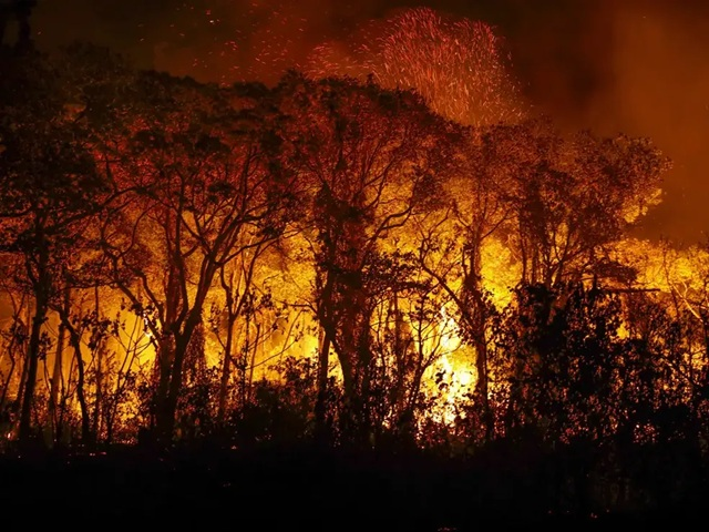 El Niño 2026-2027: o Brasil partido ao meio, e as doenças negligenciadas na linha de frente
