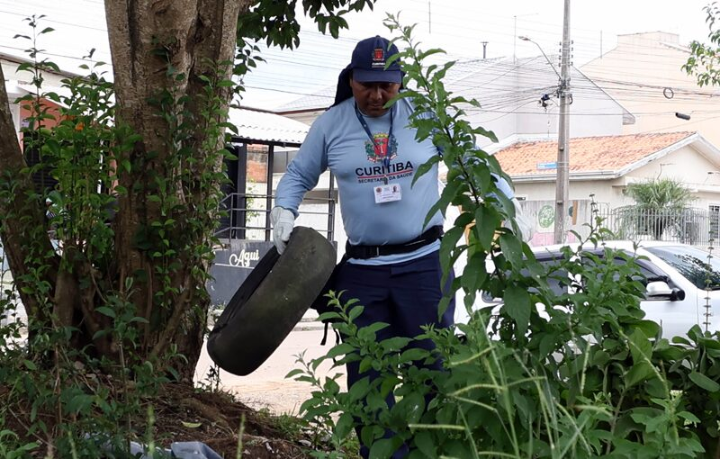 Coluna de fumaça de queimada em área de floresta durante período de seca