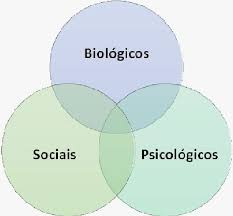 Infográfico dos três pilares do modelo biopsicossocial: corpo, mente e meio