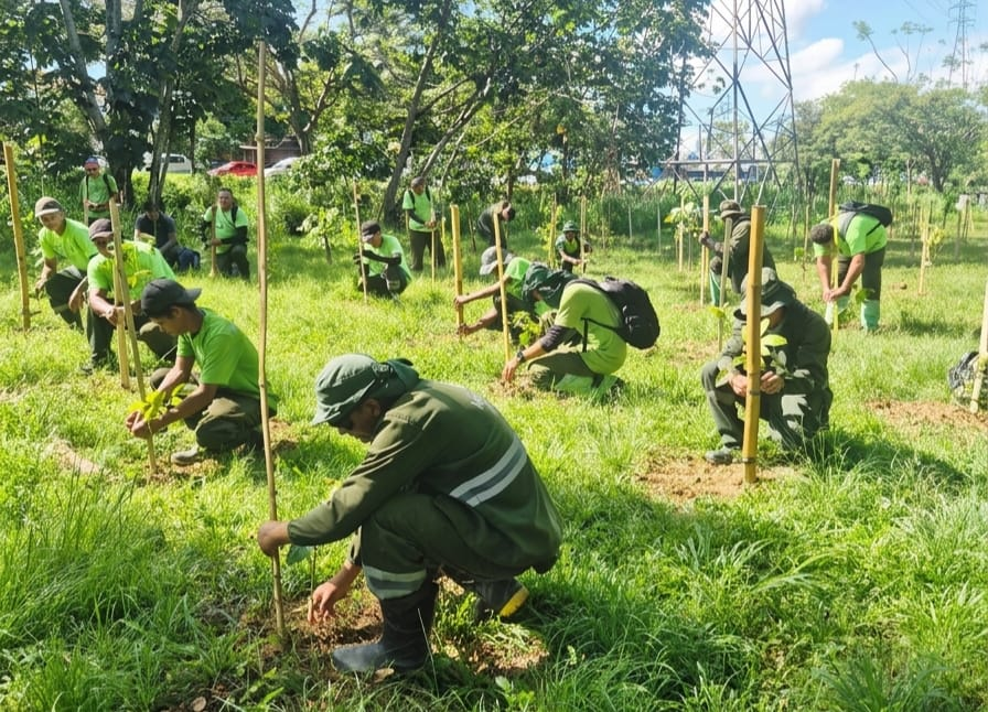 Moradores de comunidade rural amazônica plantando mudas de espécies nativas em área degradada